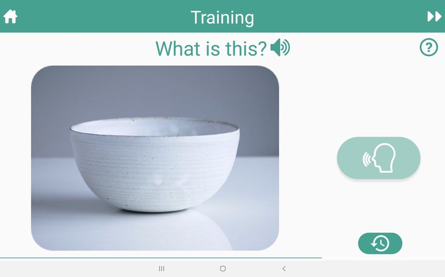 Speech training: the system listens and adapts to the spoken input